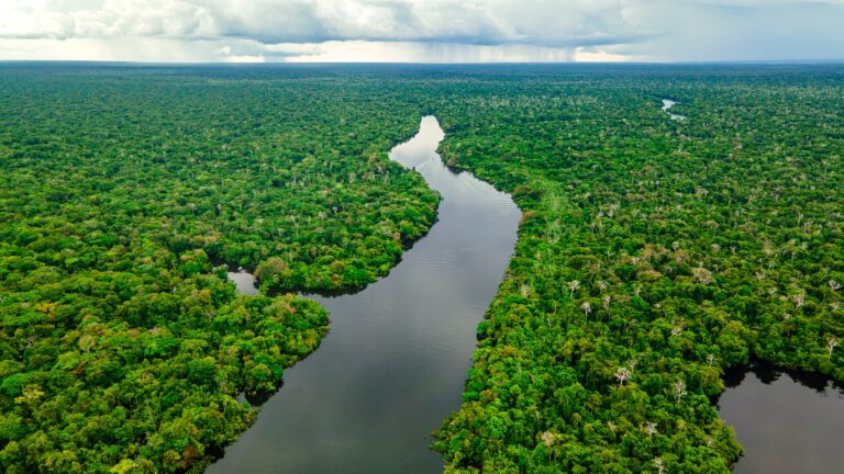 Brasil se prepara para receber a COP 30 no próximo ano